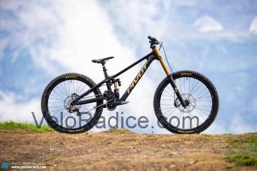 Pivot Phoenix scheda tecnica e recensioni